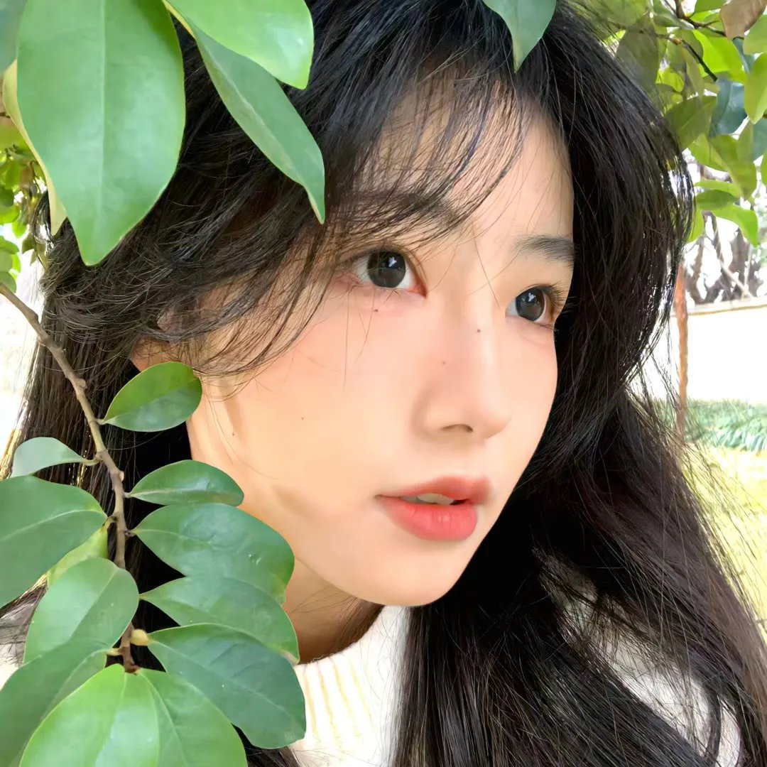 阿拉卡达的秘密